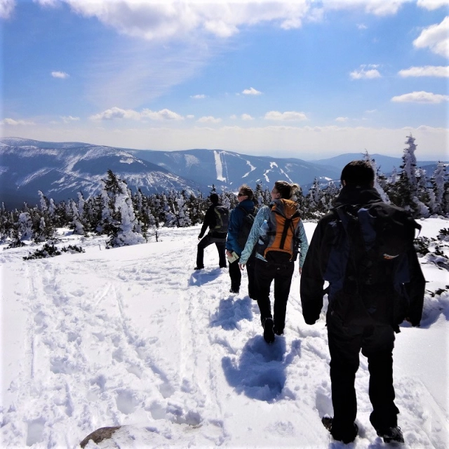 Winter teambuilding on the mountains