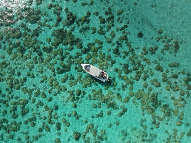 Aktuality - Co je incentive travel? Kompletní průvodce motivačními cestami