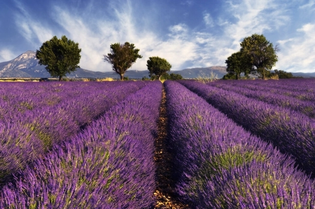 The Côte d'Azur  - Nice, France - obrázek